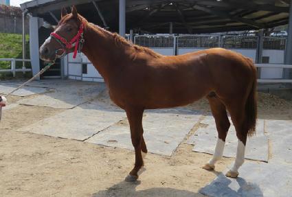 ���� ����