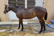 ����Ǯ���� (JOYFUL LAND) ����