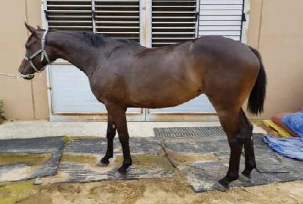 ����Ǯ���� ����