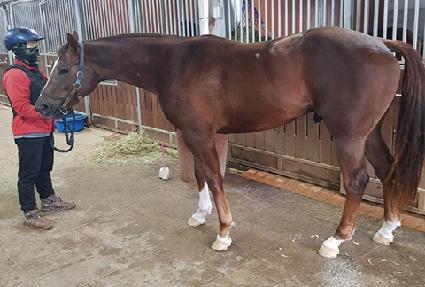 �������� ����