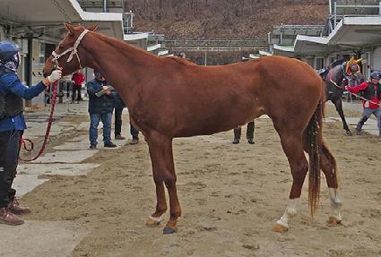 ��Ӻ����̵� ����