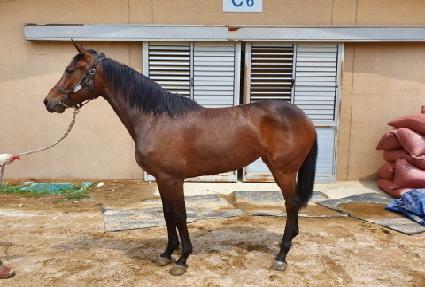 ���ƽý��� ����