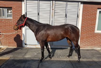 ���̺���� ����