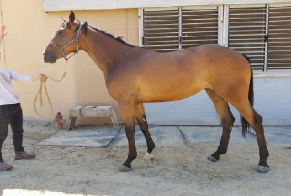 �ְ����̺� ����