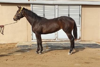 �������Լ� ����