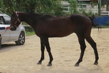 ���ǵ�� ����