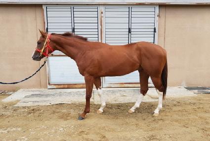 ���̽����� ����