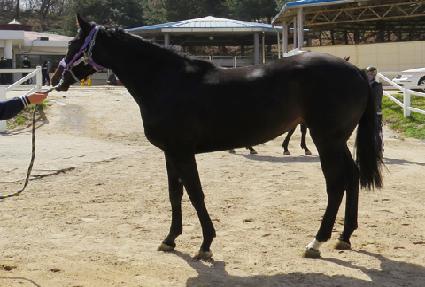 õ���ɹٶ� ����