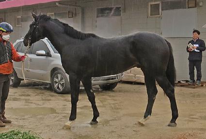 ų��Ÿ�� ����