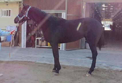 �������� ����