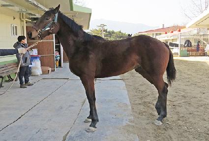 ��ũ������ ����