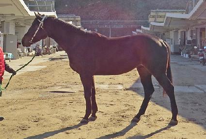 ��ǳõ�� ����