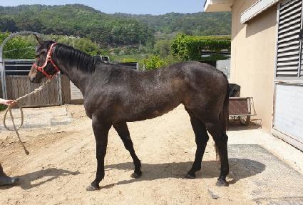 ���̳ε帲 ����