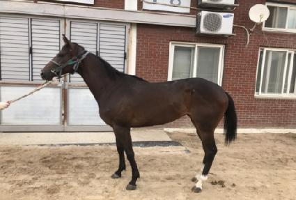 ũ�����Ű ����