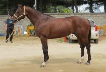 Ȳ���ְ� (HWANGGEUM CHOEGANG) ����