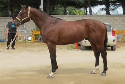 Ȳ���ְ� ����