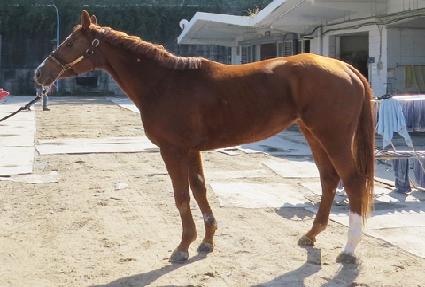 �α⿭�� ����