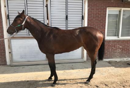 �����Ӿ��� ����