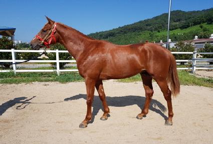 �齺ī�� ����