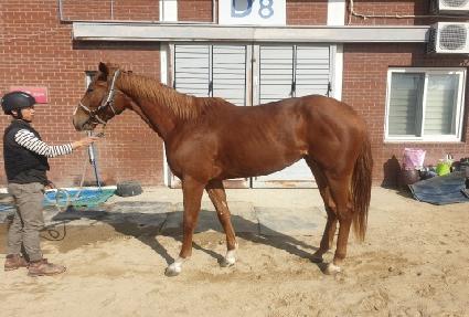 ����Ʈ���� ����