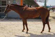 ����Ǯ���� (WONDERFUL MAGIC) ����