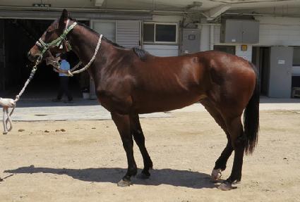 ����Ǯ������ ����