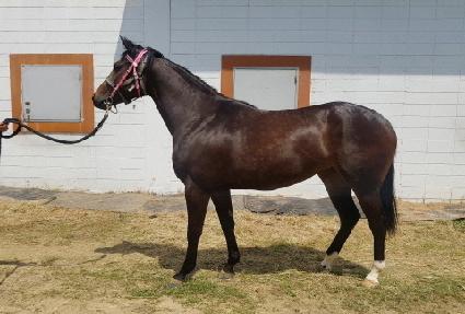 ����Ǯ��� ����