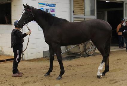 ����Ǯ�÷��� ����