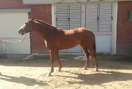 ����Ǯ�ǽ� ����