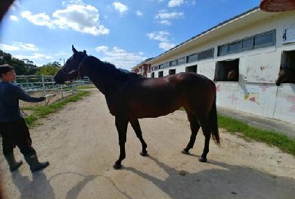 Ŭ�������� ����