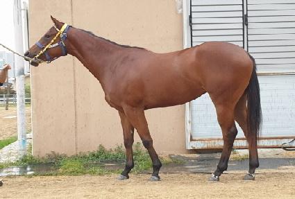 ����ι��� ����