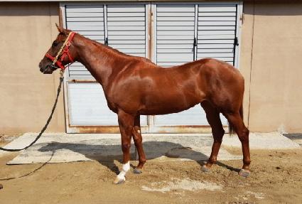 ������ũ ����