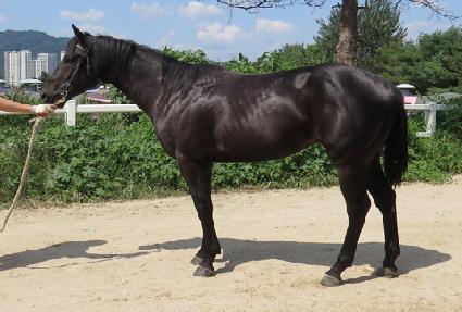 ���̵巰Ű ����