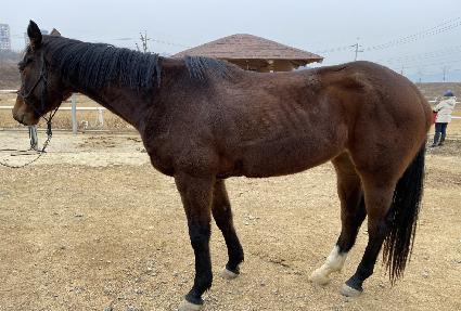 ��ī���Ƹ� ����