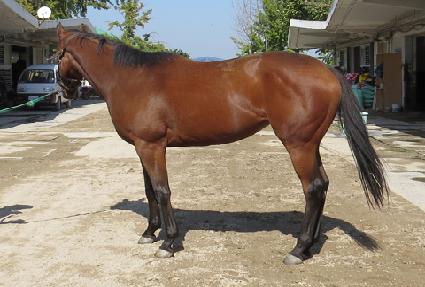 �����ǲ� ����