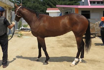 ����׷��̽� ����