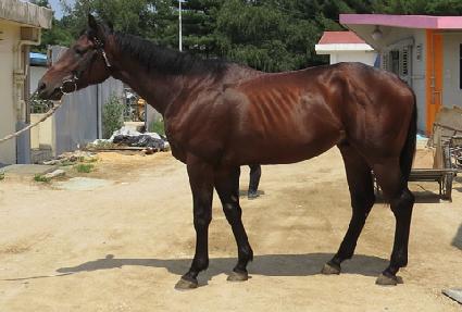 õ���ٶ� ����