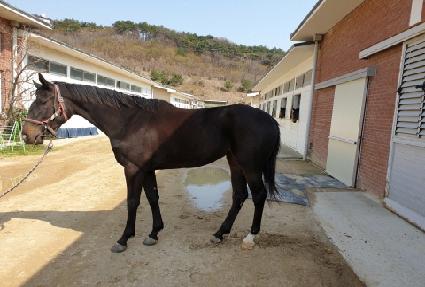 ���̽����� ����