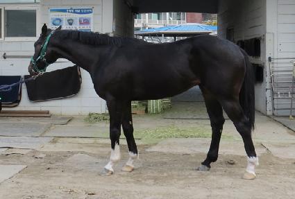 ���ΰ��� ����