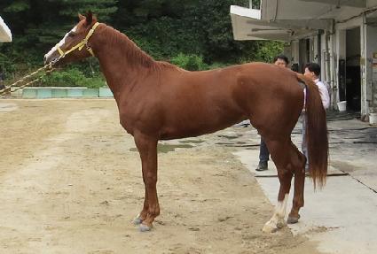 ���ؿ¸� ����