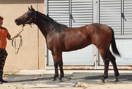 ��Ű���� ����