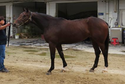 �������� ����