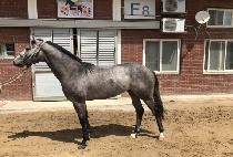 ǻóè�Ǿ� (FUTURE CHAMPION) ����