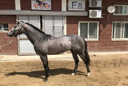 ǻóè�Ǿ� ����