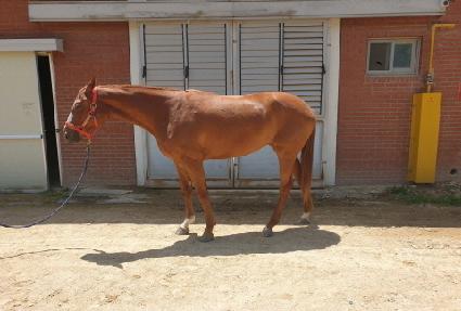 û����� ����