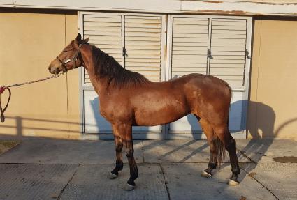 �ٴټ��� ����