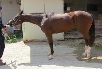 ���߽ô� (GWANGYA SIDAE) ����