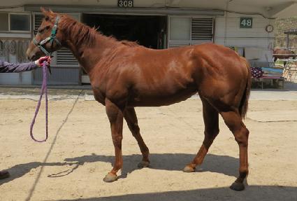 �ѹ���Ÿ�� ����