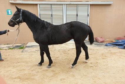 �¸������ ����