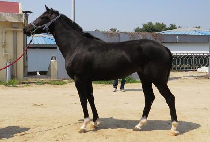 ����Ǯ����� ����